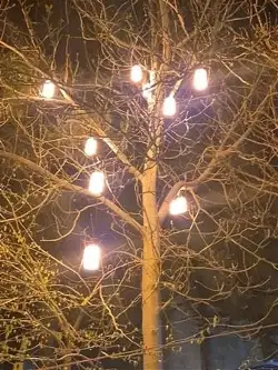 Mümkünlü’de Her şey Mümkün…