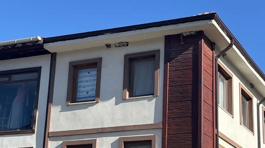 Taraklı'da Kırlangıçların Bahar Mesaisi