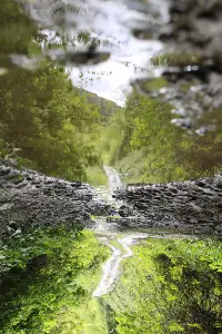 Zamanın Ötesinde Bir Sükut