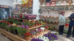 Taraklı’da Şirin Çiçek Evi Açıldı