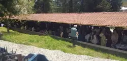 Mahdumlar'da Hayır Coşkusu