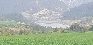 Kayaboğazı Göleti'nde Sevindiren Yükseliş