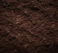 Gece Evren Aynasında Görülen