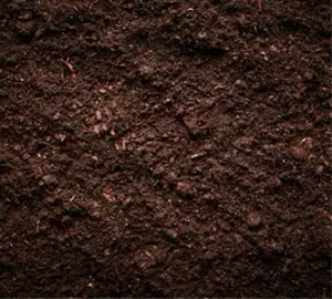 Gece Evren Aynasında Görülen
