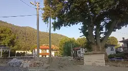 Tarihi miras ve doğal doku korunuyor !!!