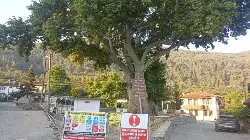 Tarihi miras ve doğal doku korunuyor !!!