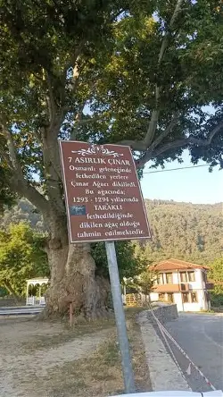 Tarihi miras ve doğal doku korunuyor !!!
