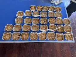 Taraklı'da Çocuklara Aşure Şenliği