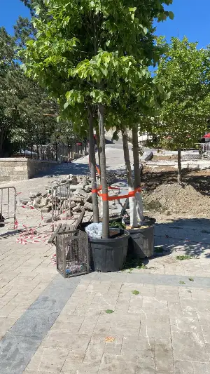 Taraklı Meydanı Yenileniyor