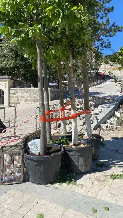 Taraklı Meydanı Yenileniyor