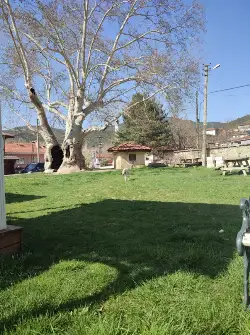 Büyükşehir'in Taraklı Hıncı