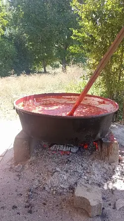 Taraklı’da Kış Hazırlıkları Sürüyor