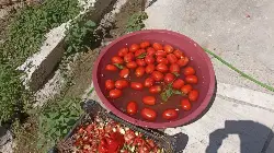 Taraklı’da Kış Hazırlıkları Sürüyor
