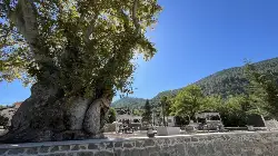 Taraklı'da Tarihi Park Yenileniyor!