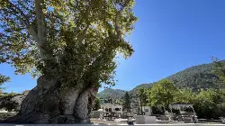 Taraklı'da Tarihi Park Yenileniyor!