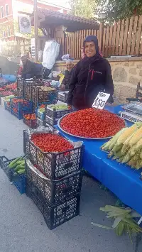 Kuşburnu toplayanlar zengin mi oluyor?