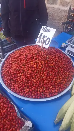 Kuşburnu toplayanlar zengin mi oluyor?