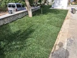 Tarihi Çınarda Çevre Düzenlemesinde Sona Gelindi