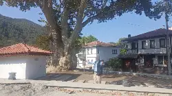 TARAKLIDA KÖPÜK HELVASI TADINDA DEVRİ ALEM