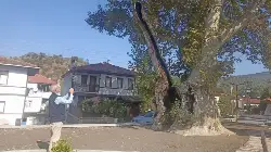 TARAKLIDA KÖPÜK HELVASI TADINDA DEVRİ ALEM