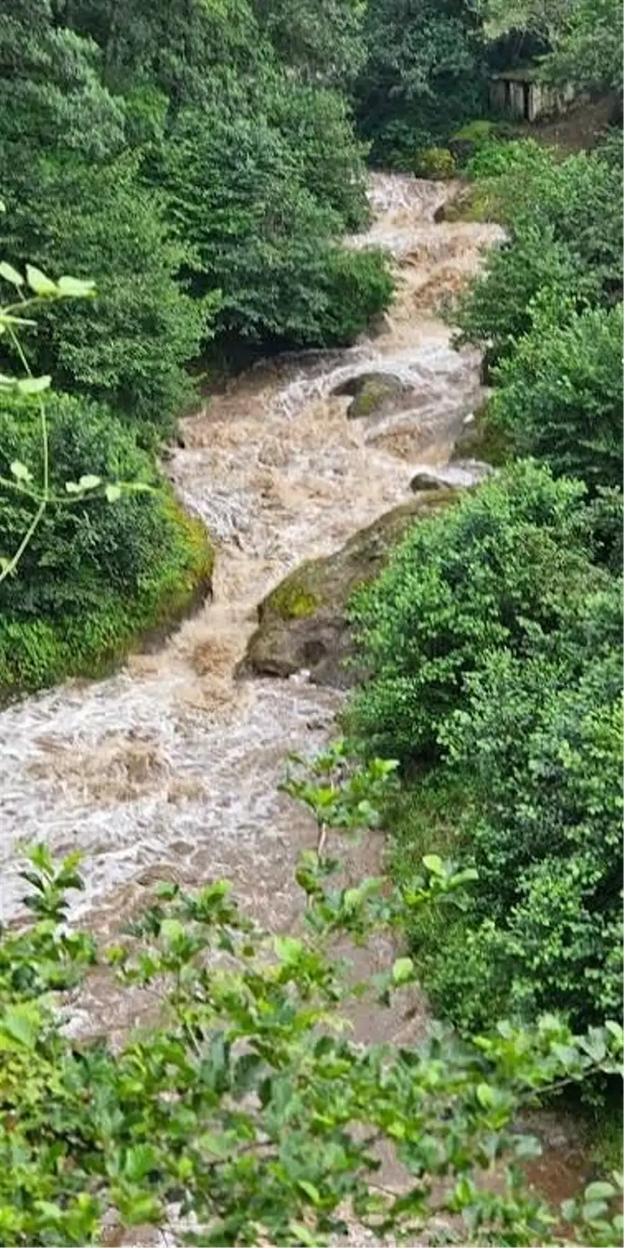 Aşırı Yağış Uyarısı: Dere Kenarlarından Uzak Durun
