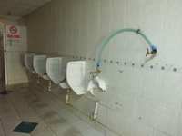 Umumi Tuvalette Zarar
