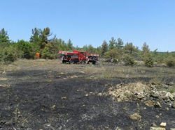 Duman Köyü Kalender Mevkiinde Orman Yangını
