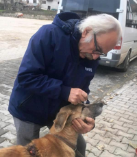 Sokak Köpeğini Koruyor ve Tedavi Ediyor