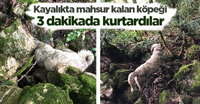 150 metre yükseklikte Kayalıkta Mahsur Kalan Köpeğe Müthiş Kurtarma Operasyonu
