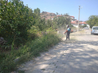 Taraklı Belediyesi Yabani otlarla mücadele devam ediyor