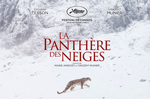 Institut Français İstanbul Film SeçkisiKar Panteri / La panthère des neiges