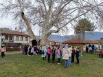 Tarihi Çınar Ağacına Okul Gezisi