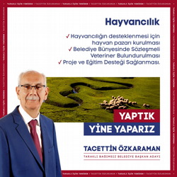 Tacettin Özkaraman Projeleri
