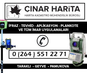 Çınar Harita - Sağ -D